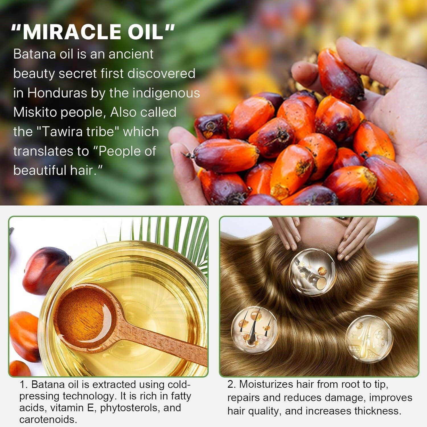 Raw Batana Oil for Hair Growth and Repair - 100% Pure, Unrefined Oil from Honduran Rainforests Prevent Hair Loss and Enhances Hair Thickness in Men &amp; Women - Glow Pure